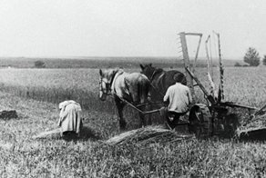 Иностранцы все более и более побеждают нас, каждые 5—6 лет нанося нам финансовый разгром