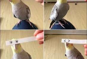 Интересные фото из интернета