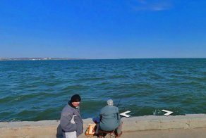 Кого увидели автомобили, которые снимают панорамы