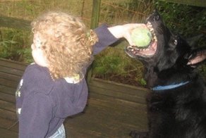 19 душещипательных снимков, на которых через секунду произойдет неизбежное