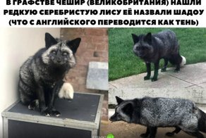 Картинки с надписями для настроения