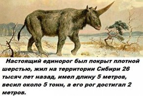 Коллекция бесполезных фактов обо всем на свете