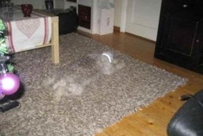 15 фотоиллюзий, которые невозможно разгадать с первой попытки