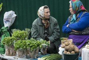 Сдай соседа: власти развешивают листовки с просьбой сообщать о самозанятых людях