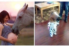 Картинки с надписями