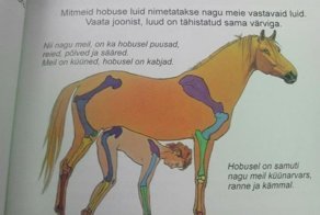 А учат ли в школе?: маразмы из современных учебников, от которых волосы встают дыбом