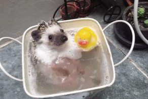 Подборка гифок