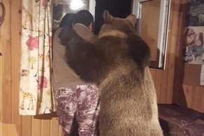 Не грусти, друг. Пойдем я тебе на балалайке поиграю