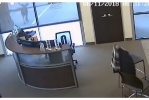 Олень ворвался в офис техасской компании