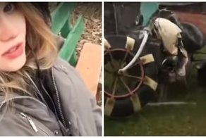 Девушка пригласила всех в деревню мечты и прославилась на всю страну