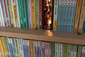 Японский художник создаёт книги, которые, чтобы оценить, необходимо рассмотреть поближе