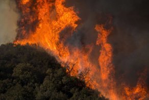 Самый разрушительный пожар в истории Калифорнии