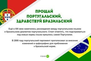 Прощай португальский, здравствуй бразильский: интересные факты о языках