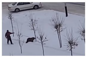 Обычный день в Кузбассе: мужчина на поводке выгуливает медведя