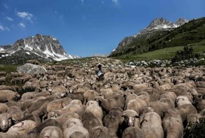 Работа мечты: как живёт пастух в Альпах