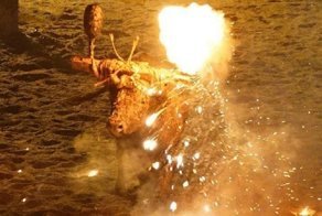 "Огненный бык" - жестокая испанская забава