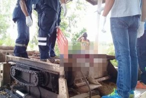 Рабочий по неосторожности угодил в деревоизмельчитель