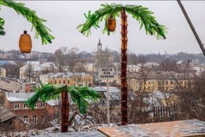 Русский климат пальмам не помеха