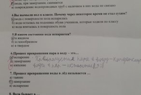 Тройка за тест по "Окружающему миру"