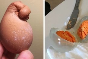 20 яиц от куриц и не только, которые наверняка поразили даже тех, кто их отложил