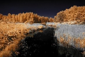 Инфракрасные фотографии, на которых привычные вещи предстают в непривычном виде