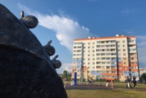 Заботливые соседи
