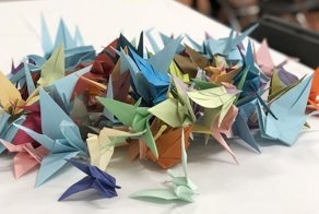 Сотрудники больницы сделали 1000 бумажных журавликов, чтобы улучшить сон пациентов