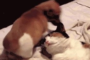 Гифки о дружбе