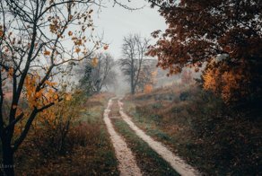 Осеннее настроение
