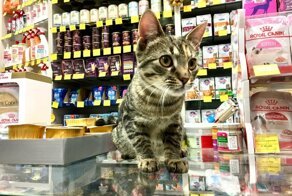 Во всём виноват фильтр