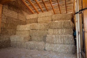 Как новичок в гостиничном бизнесе построил в Турции отель из соломы