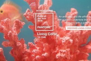 Исследовательский центр Pantone назвал главный цвет 2019 года