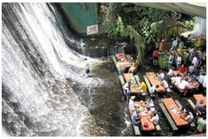 Доказательство того, что наши предки вышли из воды