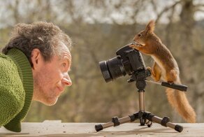 Фотограф 6 лет ловил в объектив белок, и собрал коллекцию чудесных снимков