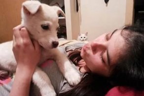 20 смешных фото, на которых кому-то стало очень завидно