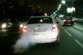 Брачные игры двух подмосковных баранов