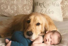 Эмоции и настроение в фотографиях