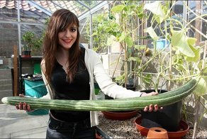 Никогда не ешьте огурцы из холодильника одинокой женщины