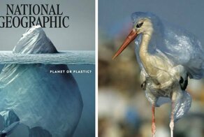 Что скрывает обложка номера журнала National Geographic