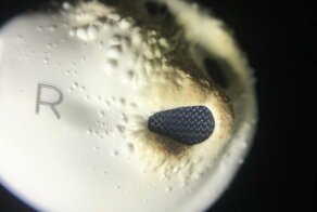 В Малайзии от удара током через наушники погиб подросток