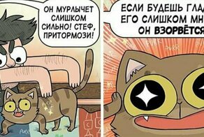 Британка рисует комиксы о своей безумной жизни с котами и молодым человеком
