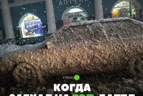 Подборка автомобильных приколов