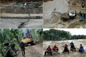 Тропический лес Амазонки в Бразилии находится под осадой нелегальных шахт