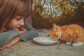 17 фактов, которые заставят вас поверить в доброту