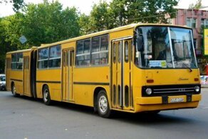 Супергармошка: многосекционный автобус Ikarus 293