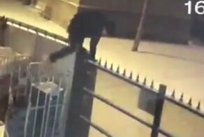 В Бельгии жадный воришка дважды застрял на одном заборе при попытке обокрасть склад магазина