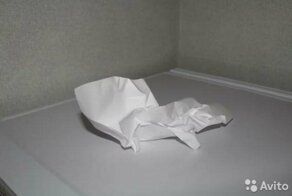 Молодой житель Барнаула продаёт смятый листок бумаги за 1 миллион рублей