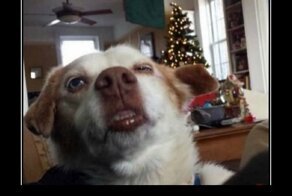 Свежая подборка демотиваторов, которые поднимут вам настроение