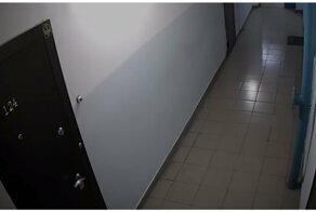 Семейка терминаторов в подъезде Новосибирска