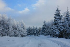 Трехлетний ребенок сам выбрался из тайги после гибели отца